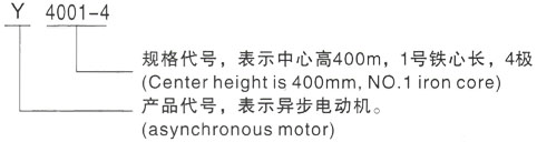 西安泰富西玛Y系列(H355-1000)高压YJTGKK5601-4三相异步电机型号说明